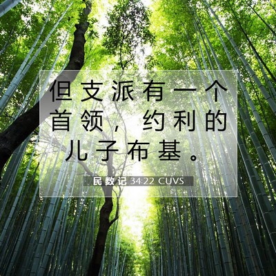 Picture 07 - 民 数 记 34:22 CUVS - 但 支 派 有 一 个 首 领 ， 约 利 的 - Bible Verse Picture