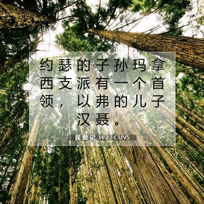 Picture 07 - 民 数 记 34:23 CUVS - 约 瑟 的 子 孙 玛 拿 西 支 派 有 一 - Bible Verse Picture