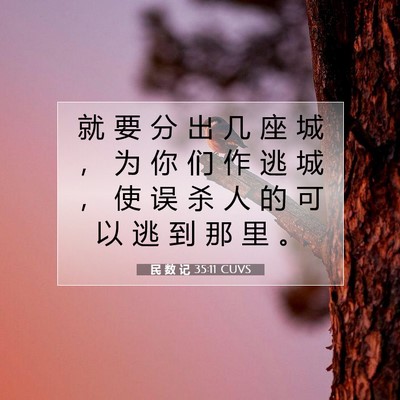 Picture 07 - 民 数 记 35:11 CUVS - 就 要 分 出 几 座 城 ， 为 你 们 作 - Bible Verse Picture