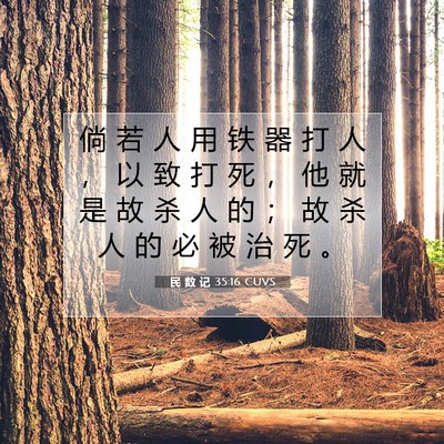Picture 07 - 民 数 记 35:16 CUVS - 倘 若 人 用 铁 器 打 人 ， 以 致 打 - Bible Verse Picture