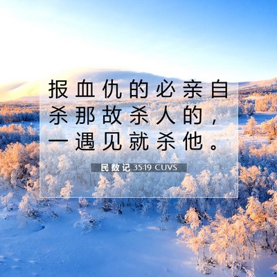 Picture 07 - 民 数 记 35:19 CUVS - 报 血 仇 的 必 亲 自 杀 那 故 杀 人 - Bible Verse Picture