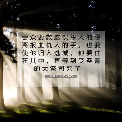 Picture 07 - 民 数 记 35:25 CUVS - 会 众 要 救 这 误 杀 人 的 脱 离 报 - Bible Verse Picture
