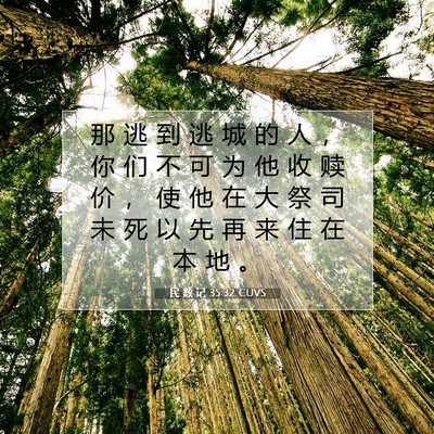 Picture 07 - 民 数 记 35:32 CUVS - 那 逃 到 逃 城 的 人 ， 你 们 不 可 - Bible Verse Picture
