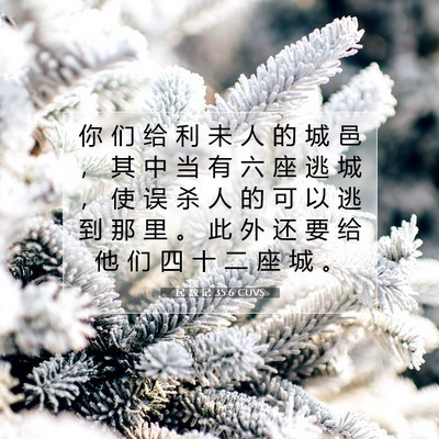 Picture 07 - 民 数 记 35:6 CUVS - 你 们 给 利 未 人 的 城 邑 ， 其 中 - Bible Verse Picture