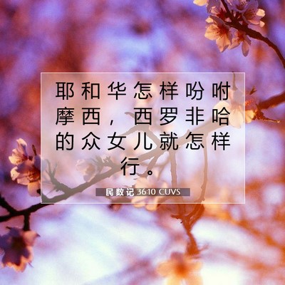 Picture 07 - 民 数 记 36:10 CUVS - 耶 和 华 怎 样 吩 咐 摩 西 ， 西 罗 - Bible Verse Picture