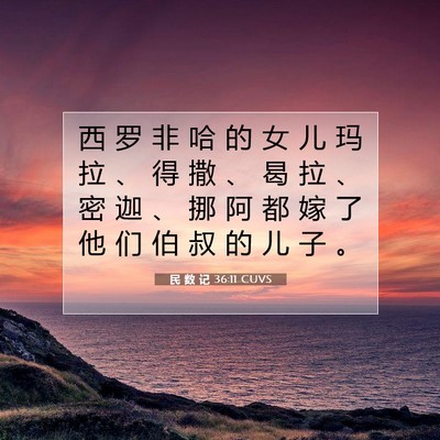 Picture 07 - 民 数 记 36:11 CUVS - 西 罗 非 哈 的 女 儿 玛 拉 、 得 撒 - Bible Verse Picture