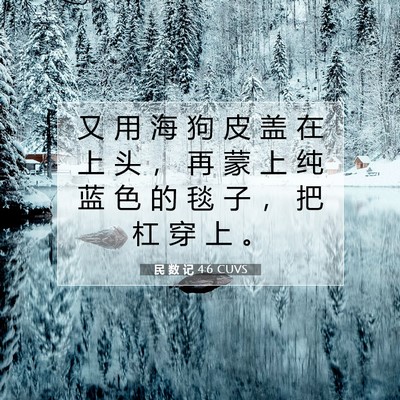 Picture 07 - 民 数 记 4:6 CUVS - 又 用 海 狗 皮 盖 在 上 头 ， 再 蒙 - Bible Verse Picture