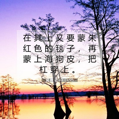 Picture 07 - 民 数 记 4:8 CUVS - 在 其 上 又 要 蒙 朱 红 色 的 毯 子 - Bible Verse Picture