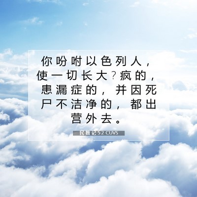 Picture 07 - 民 数 记 5:2 CUVS - 你 吩 咐 以 色 列 人 ， 使 一 切 长 - Bible Verse Picture