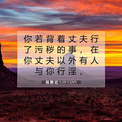 Picture 07 - 民 数 记 5:20 CUVS - 你 若 背 着 丈 夫 行 了 污 秽 的 事 - Bible Verse Picture