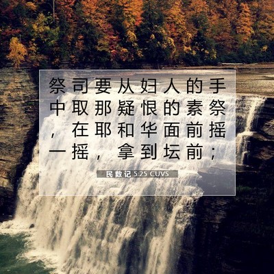 Picture 07 - 民 数 记 5:25 CUVS - 祭 司 要 从 妇 人 的 手 中 取 那 疑 - Bible Verse Picture
