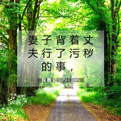 Picture 07 - 民 数 记 5:29 CUVS - 妻 子 背 着 丈 夫 行 了 污 秽 的 事 - Bible Verse Picture