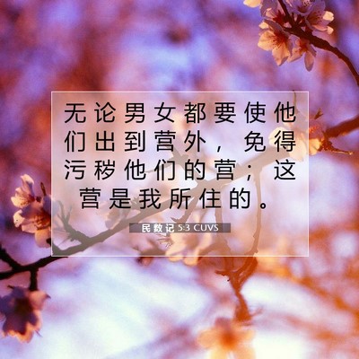 Picture 07 - 民 数 记 5:3 CUVS - 无 论 男 女 都 要 使 他 们 出 到 营 - Bible Verse Picture