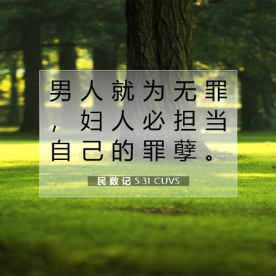 Picture 07 - 民 数 记 5:31 CUVS - 男 人 就 为 无 罪 ， 妇 人 必 担 当 - Bible Verse Picture