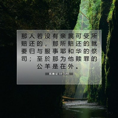 Picture 07 - 民 数 记 5:8 CUVS - 那 人 若 没 有 亲 属 可 受 所 赔 还 - Bible Verse Picture