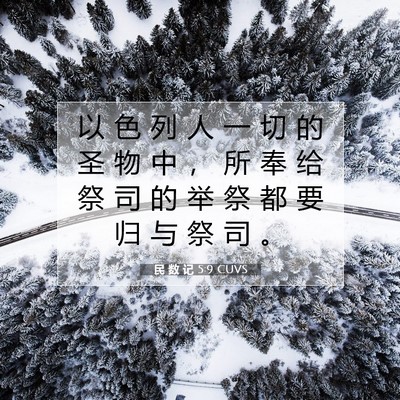 Picture 07 - 民 数 记 5:9 CUVS - 以 色 列 人 一 切 的 圣 物 中 ， 所 - Bible Verse Picture
