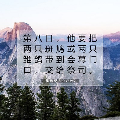 Picture 07 - 民 数 记 6:10 CUVS - 第 八 日 ， 他 要 把 两 只 斑 鸠 或 - Bible Verse Picture