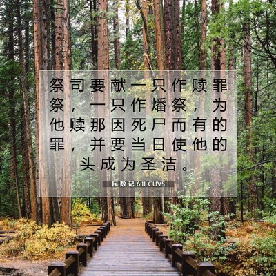 Picture 07 - 民 数 记 6:11 CUVS - 祭 司 要 献 一 只 作 赎 罪 祭 ， 一 - Bible Verse Picture