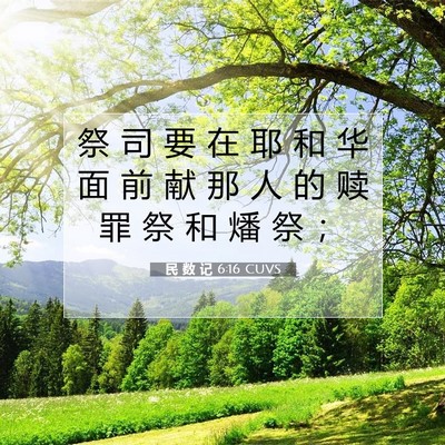 Picture 07 - 民 数 记 6:16 CUVS - 祭 司 要 在 耶 和 华 面 前 献 那 人 - Bible Verse Picture