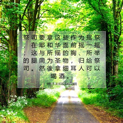 Picture 07 - 民 数 记 6:20 CUVS - 祭 司 要 拿 这 些 作 为 摇 祭 ， 在 - Bible Verse Picture