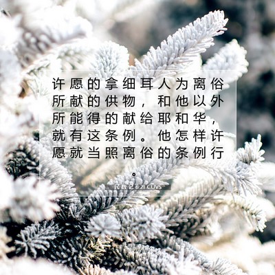 Picture 07 - 民 数 记 6:21 CUVS - 许 愿 的 拿 细 耳 人 为 离 俗 所 献 - Bible Verse Picture