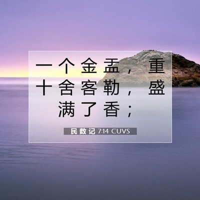 Picture 07 - 民 数 记 7:14 CUVS - 一 个 金 盂 ， 重 十 舍 客 勒 ， 盛 - Bible Verse Picture