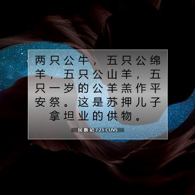 Picture 07 - 民 数 记 7:23 CUVS - 两 只 公 牛 ， 五 只 公 绵 羊 ， 五 - Bible Verse Picture