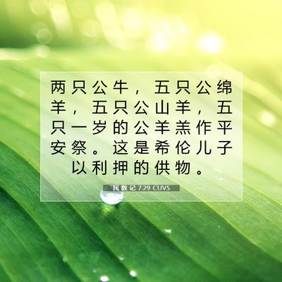 Picture 07 - 民 数 记 7:29 CUVS - 两 只 公 牛 ， 五 只 公 绵 羊 ， 五 - Bible Verse Picture