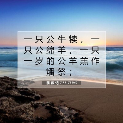Picture 07 - 民 数 记 7:33 CUVS - 一 只 公 牛 犊 ， 一 只 公 绵 羊 ， - Bible Verse Picture