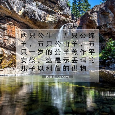 Picture 07 - 民 数 记 7:35 CUVS - 两 只 公 牛 ， 五 只 公 绵 羊 ， 五 - Bible Verse Picture