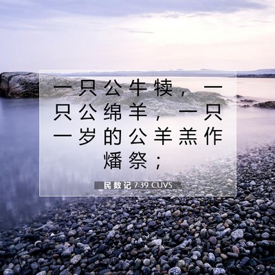 Picture 07 - 民 数 记 7:39 CUVS - 一 只 公 牛 犊 ， 一 只 公 绵 羊 ， - Bible Verse Picture