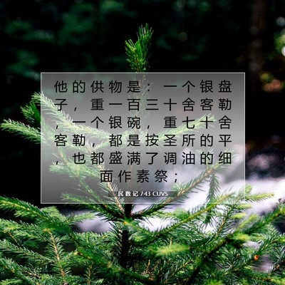 Picture 07 - 民 数 记 7:43 CUVS - 他 的 供 物 是 ： 一 个 银 盘 子 ， - Bible Verse Picture