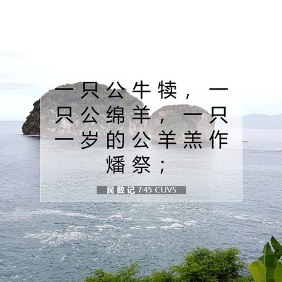 Picture 07 - 民 数 记 7:45 CUVS - 一 只 公 牛 犊 ， 一 只 公 绵 羊 ， - Bible Verse Picture