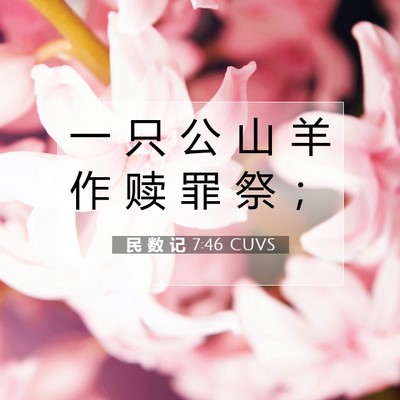 Picture 07 - 民 数 记 7:46 CUVS - 一 只 公 山 羊 作 赎 罪 祭 - Bible Verse Picture