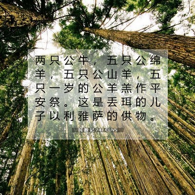 Picture 07 - 民 数 记 7:47 CUVS - 两 只 公 牛 ， 五 只 公 绵 羊 ， 五 - Bible Verse Picture