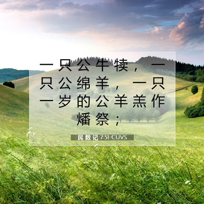 Picture 07 - 民 数 记 7:51 CUVS - 一 只 公 牛 犊 ， 一 只 公 绵 羊 ， - Bible Verse Picture