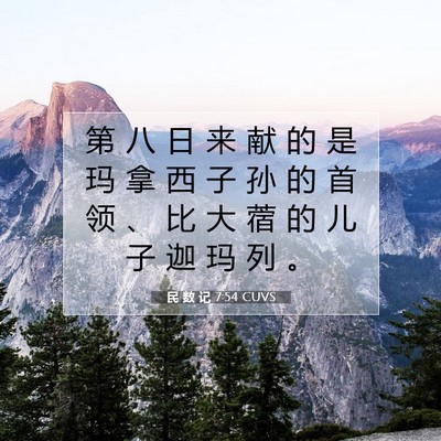 Picture 07 - 民 数 记 7:54 CUVS - 第 八 日 来 献 的 是 玛 拿 西 子 孙 - Bible Verse Picture