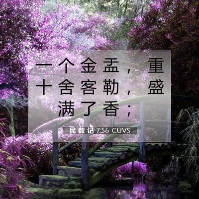 Picture 07 - 民 数 记 7:56 CUVS - 一 个 金 盂 ， 重 十 舍 客 勒 ， 盛 - Bible Verse Picture