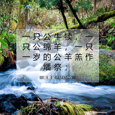 Picture 07 - 民 数 记 7:57 CUVS - 一 只 公 牛 犊 ， 一 只 公 绵 羊 ， - Bible Verse Picture