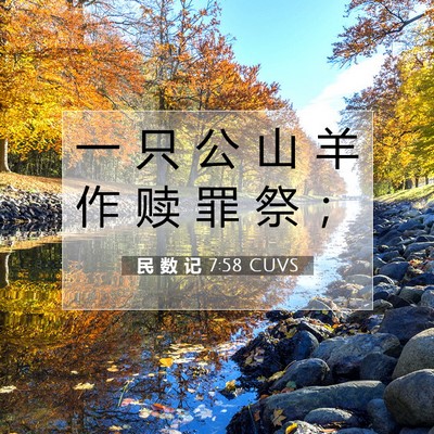 Picture 07 - 民 数 记 7:58 CUVS - 一 只 公 山 羊 作 赎 罪 祭 - Bible Verse Picture