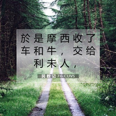 Picture 07 - 民 数 记 7:6 CUVS - 於 是 摩 西 收 了 车 和 牛 ， 交 给 - Bible Verse Picture