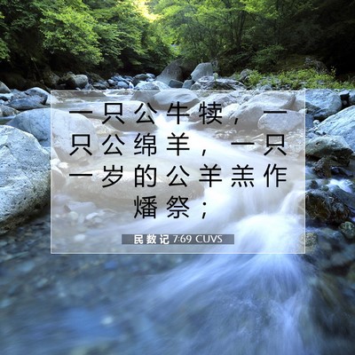 Picture 07 - 民 数 记 7:69 CUVS - 一 只 公 牛 犊 ， 一 只 公 绵 羊 ， - Bible Verse Picture
