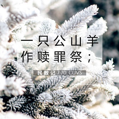 Picture 07 - 民 数 记 7:70 CUVS - 一 只 公 山 羊 作 赎 罪 祭 - Bible Verse Picture