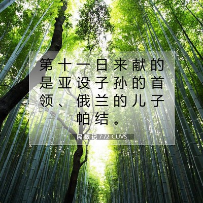 Picture 07 - 民 数 记 7:72 CUVS - 第 十 一 日 来 献 的 是 亚 设 子 孙 - Bible Verse Picture