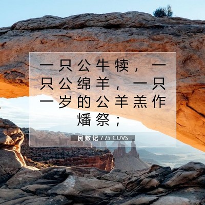 Picture 07 - 民 数 记 7:75 CUVS - 一 只 公 牛 犊 ， 一 只 公 绵 羊 ， - Bible Verse Picture
