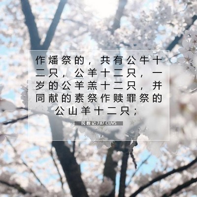 Picture 07 - 民 数 记 7:87 CUVS - 作 燔 祭 的 ， 共 有 公 牛 十 二 只 - Bible Verse Picture