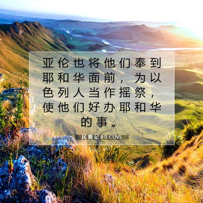 Picture 07 - 民 数 记 8:11 CUVS - 亚 伦 也 将 他 们 奉 到 耶 和 华 面 - Bible Verse Picture