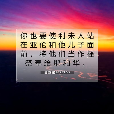 Picture 07 - 民 数 记 8:13 CUVS - 你 也 要 使 利 未 人 站 在 亚 伦 和 - Bible Verse Picture