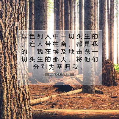 Picture 07 - 民 数 记 8:17 CUVS - 以 色 列 人 中 一 切 头 生 的 ， 连 - Bible Verse Picture