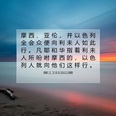 Picture 07 - 民 数 记 8:20 CUVS - 摩 西 、 亚 伦 ， 并 以 色 列 全 会 - Bible Verse Picture